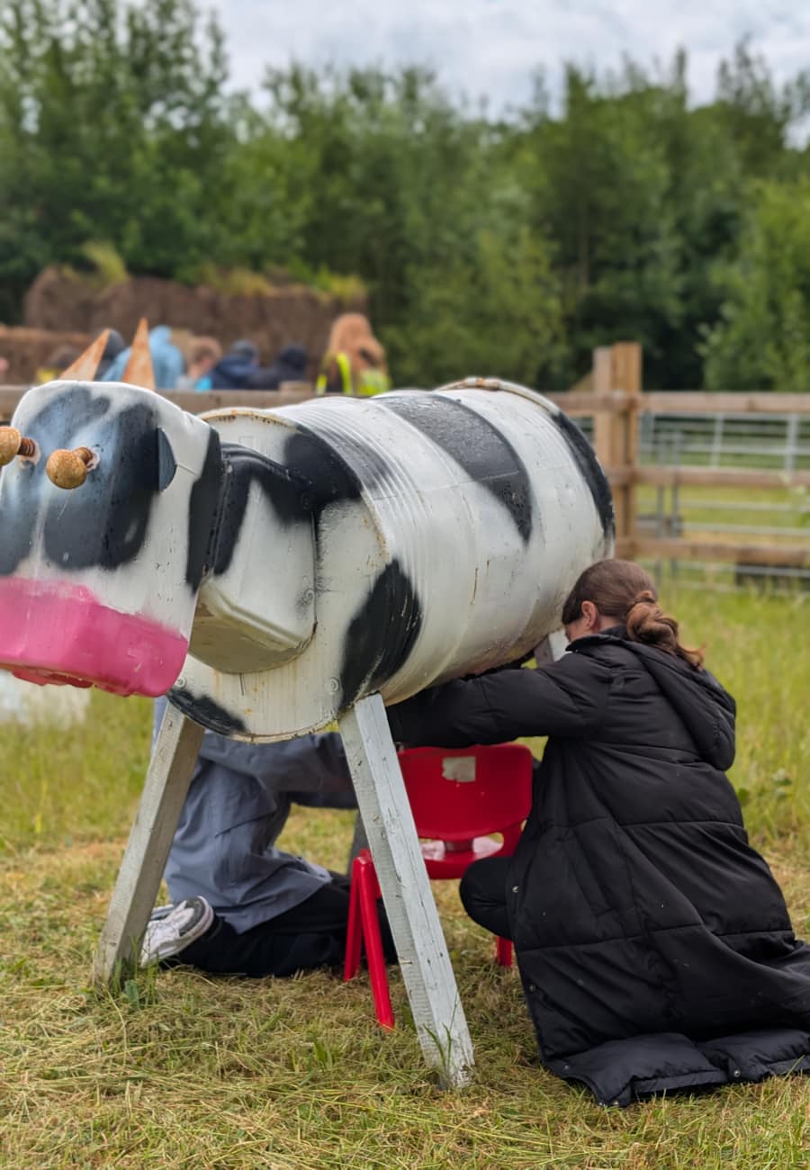 Meeting the cows