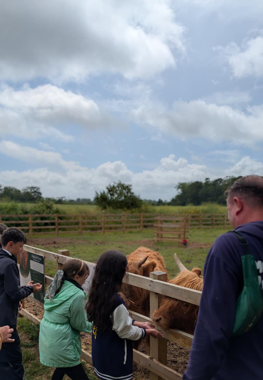 Animal feeding