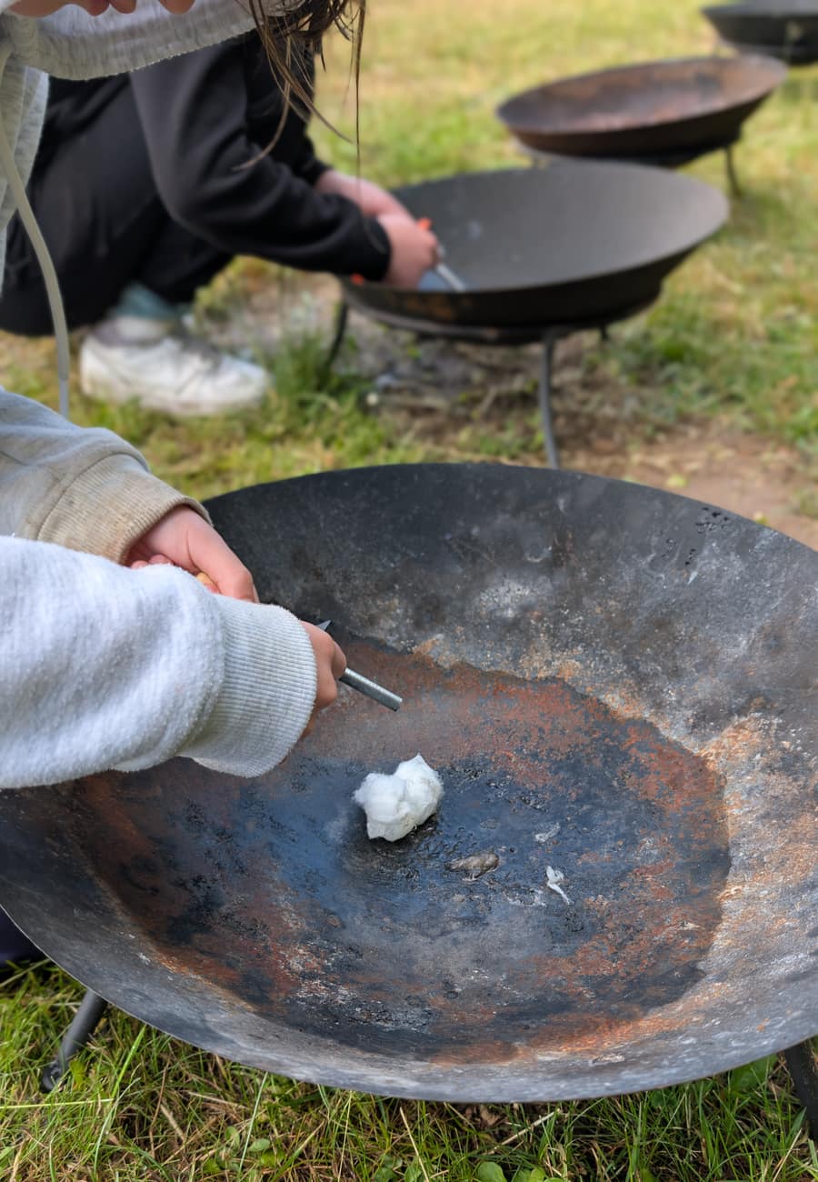 Campfire & marshmallows